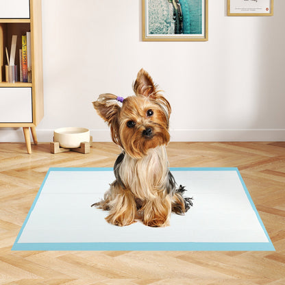 Dog and Puppy Pee Pads 24" x 17" (300 Counts) for Potty Training-Blue
