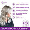 Purple Shampoo For Blonde Hair | Professional Salon